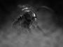 Aliens Directors Cut (1986) Part 3 Aliens Directors Cut (1986) Part 3