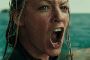 The Shallows (2016) 