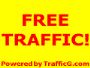 TrafficG.com - Intelligently selected geo targeted visitors 
