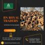 All Kinds of Scrap Buyers – Best Price & Quick Service