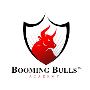 Join Booming Bulls Academy for Top Stock Market Training!