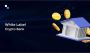 Why Is Now the Best Time to Start a White Label Crypto Bank 