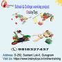 Buy online school and college working project | Brainytoys