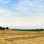 Plots in Vrindavan