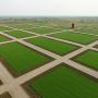 Commercial & Residential Plots in Vrindavan