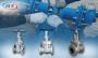 UAE’s Trusted Gate Valve Supplier for Industrial Projects