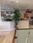 Mental Health Facilities Salt Lake City - Brighton Recovery 