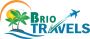 Best tour and travel agency in Delhi, India. Brio Travels 