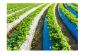 Reliable Mulch Film Suppliers in Indore for Smart Farming