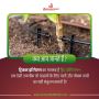Reliable Drip Irrigation System in Indore – Brownfield India