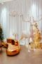 Rent Wedding Decor from Bubble Design Rentals