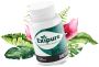 Exipure Exipure