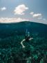  Get the Best Poor Knights Islands Snorkelling