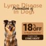 On Big Packs Save Big, Flat 18% OFF On All Budgetvetcare