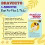 Budgetvetcare Offers the Best Price on Brevecto One-Month 