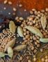 The best spice extraction methods