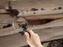 Termite Inspection Service Ferntree Gully