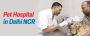 Pet Care In Delhi | CGS Hospital Sarojini Nagar