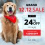 Hurry! Save BIG this 12.12 Grand Sale