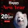 Hurry up! Save up to 20% off on this New year