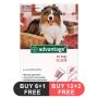 Advantage Large Dogs 21-55lbs (Red)