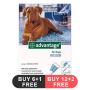 Advantage Extra Large Dogs over 55 lbs (Blue)
