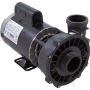 Waterway Plastics 3720821-1D Executive 56 Frame 2 Hp Spa Pum
