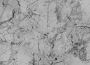 Urban Marble