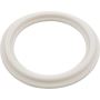 Waterway Plastics 2″ Heater O-Ring/Gasket