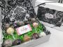 Cake Pop Boxes: Fun & Functional Packaging