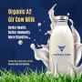 How Captain’s Farm Raises Their Own Gir Cows with Care