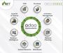 Odoo Shipping & E-commerce Integration Experts | Caret IT