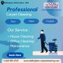 Revitalize Your Home With Freshly Cleaned Carpet