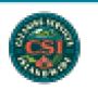 CSI Carpet Cleaners