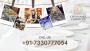  Best Non-Veg Caterers Hyderabad – Chinnams Caterers