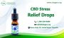 Calm Your Mind, Relax Your Body – CBD Stress Relief Drops