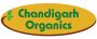 Which  Food Products Are Buying Online?