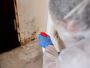 Reliable Post-Remediation Inspection Services in Florida