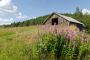Mobile Field Shelters: The Portable and Flexible Solution