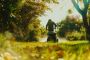 Affordable Lawn Care Solutions for Weatherford, TX Residents