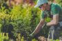 Reliable Landscaping Companies in Lowell, MA You Can Trust