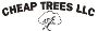 Affordable Arbor Care – Mastering Tree Cutting, One Branch a
