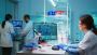 Unlock the Power of Pharma: Chemxpert Database Reveals 