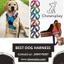 Best Dog Harness