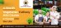 4-Month Vegetarian Culinary Arts Course in Mumbai | CHO Bee 