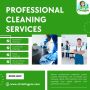 Professional Cleaning Services in Houston