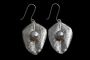 Discover the Elegance of Australian Native Earrings Discover the Elegance of Australian Native Earrings