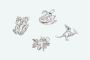 Unique Charm of Nature with the Best Jeweller in Australia