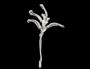 Add Nature’s Touch with Affordable Jewellery Native Pins
