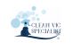 Professional Roof Cleaning Services | Clean Vic Specialist
